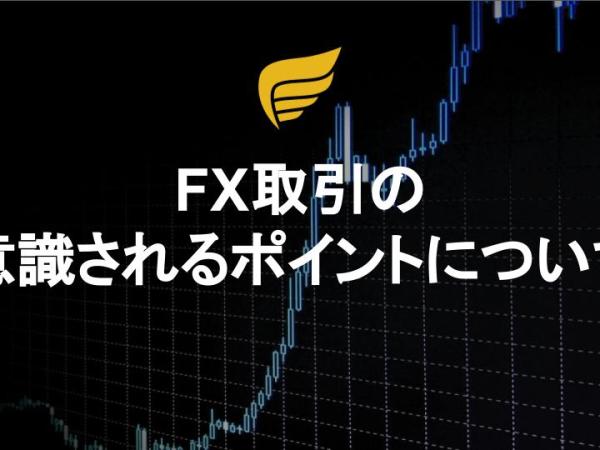 FX取引の意識されるポイントについて